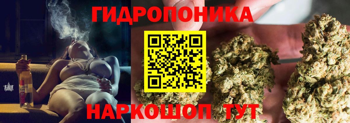 Десногорск  Бошки Шишки тримм  Конопля Bruce Banner  Вход с VPN 